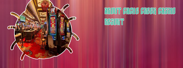 Casino land