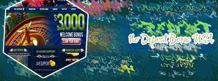 Online casino usa no deposit bonus
